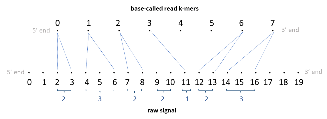 DNA alignment