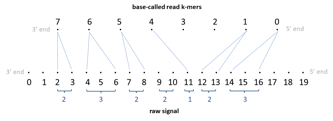 dRNA alignment